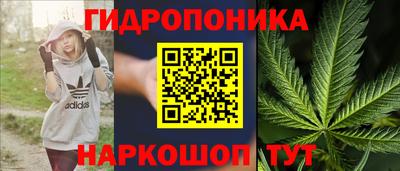 spice Гай