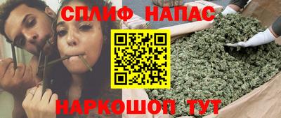 spice Гай