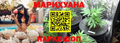 spice Гай