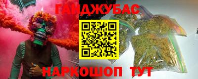 spice Гай