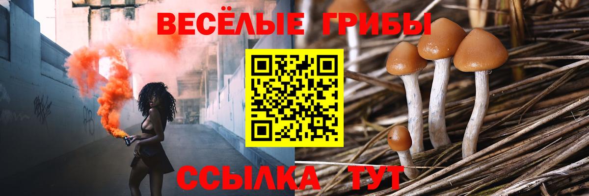Копейск  Псилоцибиновые грибы MAGIC MUSHROOMS  Вход с VPN  Псилоцибиновые грибы ЛСД 