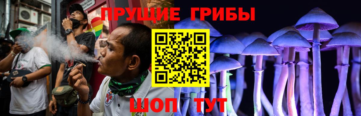 Псилоцибиновые грибы прущие грибы Копейск